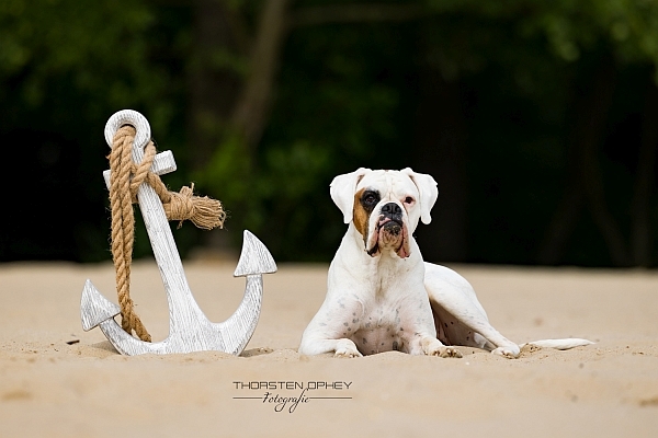 2023 Georgi Hundestrandshooting 006