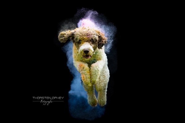 2024 Louie Holishooting 001