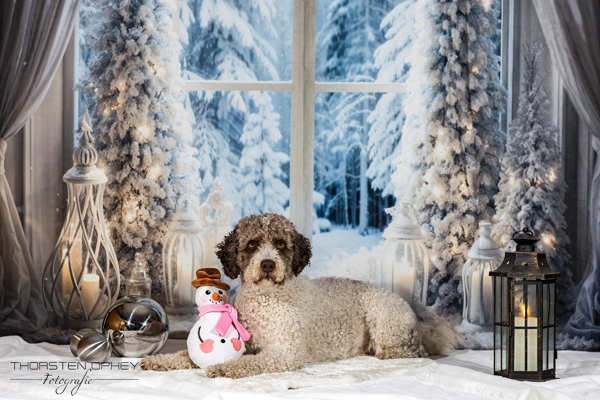 2025 Louie Weihnachtsshooting 012