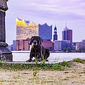 2022 Fay Hundeshooting Hafen 005