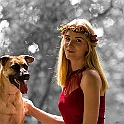 2022 Hundeshooting Boomer Luna 028
