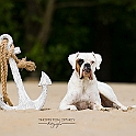 2023 Georgi Hundestrandshooting 006