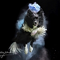 2023 Holishooting Hash Cariba 003