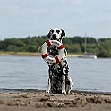 2023 Kaya Hundeshooting 013a