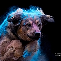 2025 Holishooting mit Goldi
