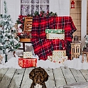 2025 Hundeweihnachtsshooting Juna  004a