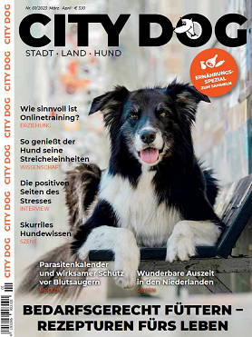 City Dog Jan. 2023