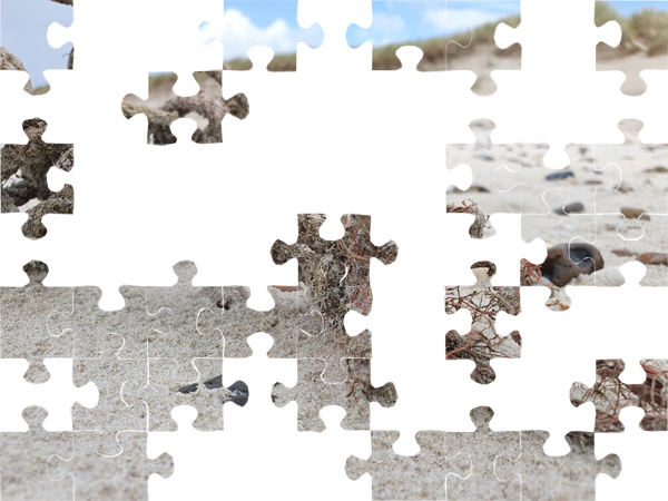 Puzzle