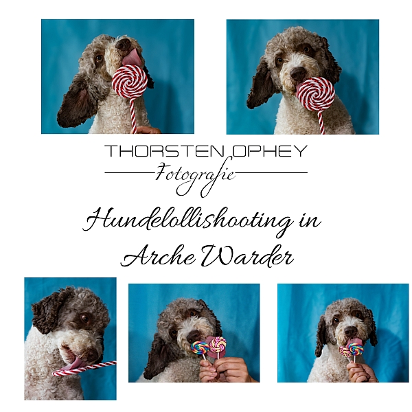 Hundelollishooting in Arche Warder